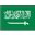 Logo Saudi Pro League