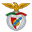 Escudo Benfica Feminino